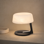 Modern Alabaster Table Lamp in Black and Chrome - product image 01