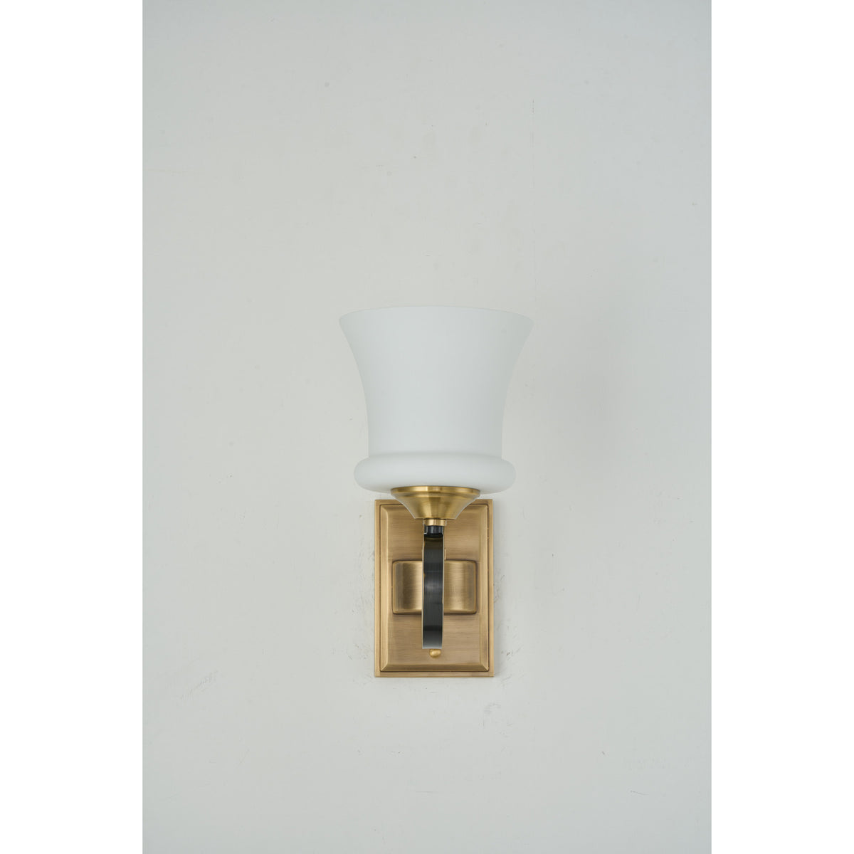 Supplier real photograph of the Rosethorne one-light wall sconce complete unlit front view