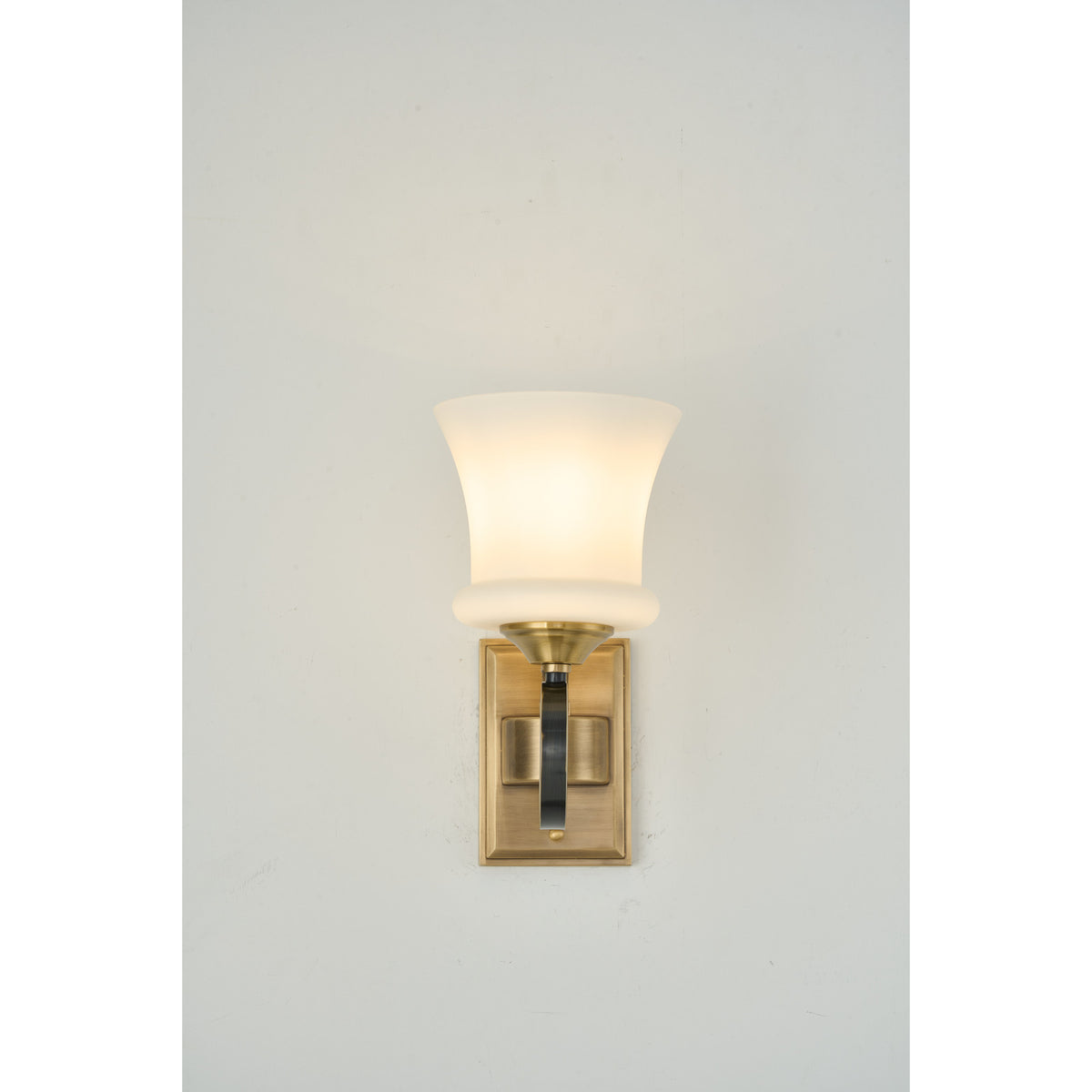Supplier real photograph of the Rosethorne one-light wall sconce complete softly lit front view