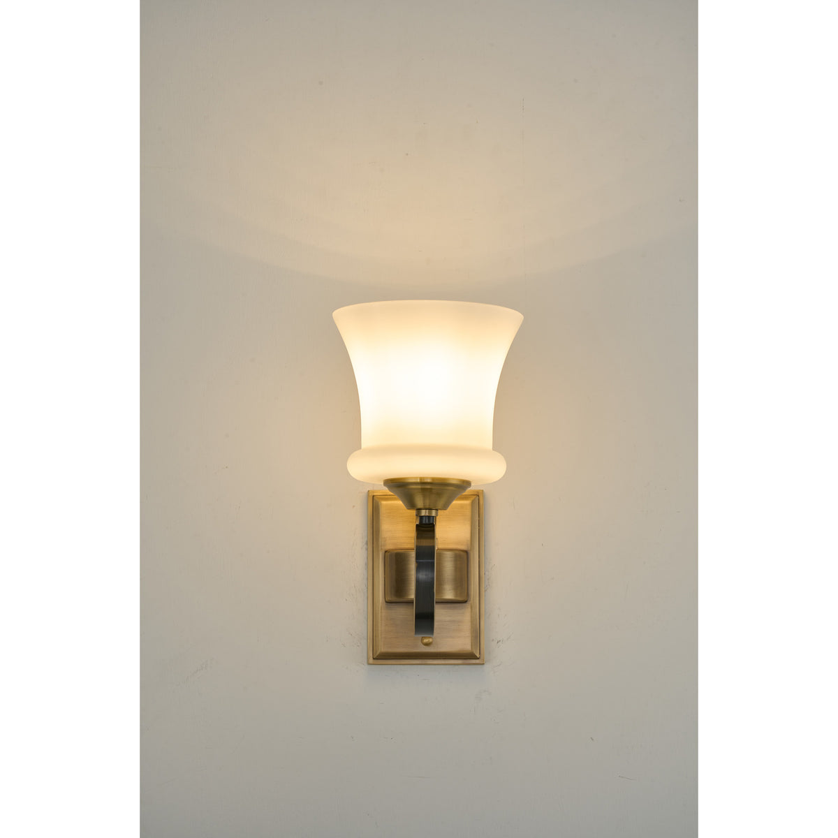 Supplier real photograph of the Rosethorne one-light wall sconce complete illuminated front view