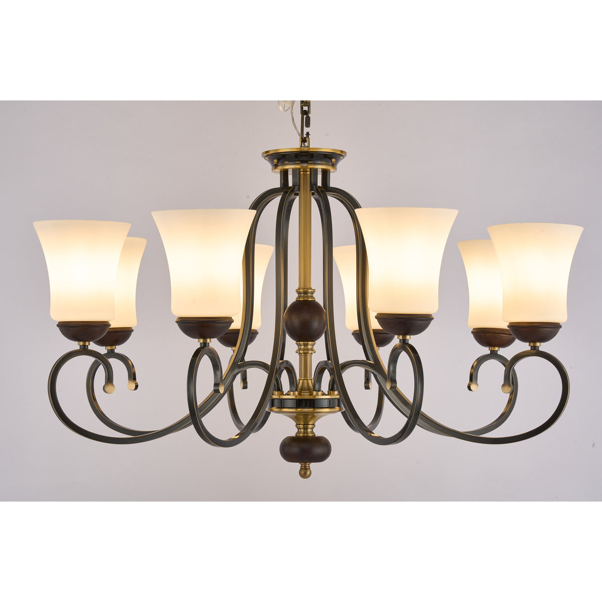 Supplier real photograph of the Haverford eight-light chandelier complete front view