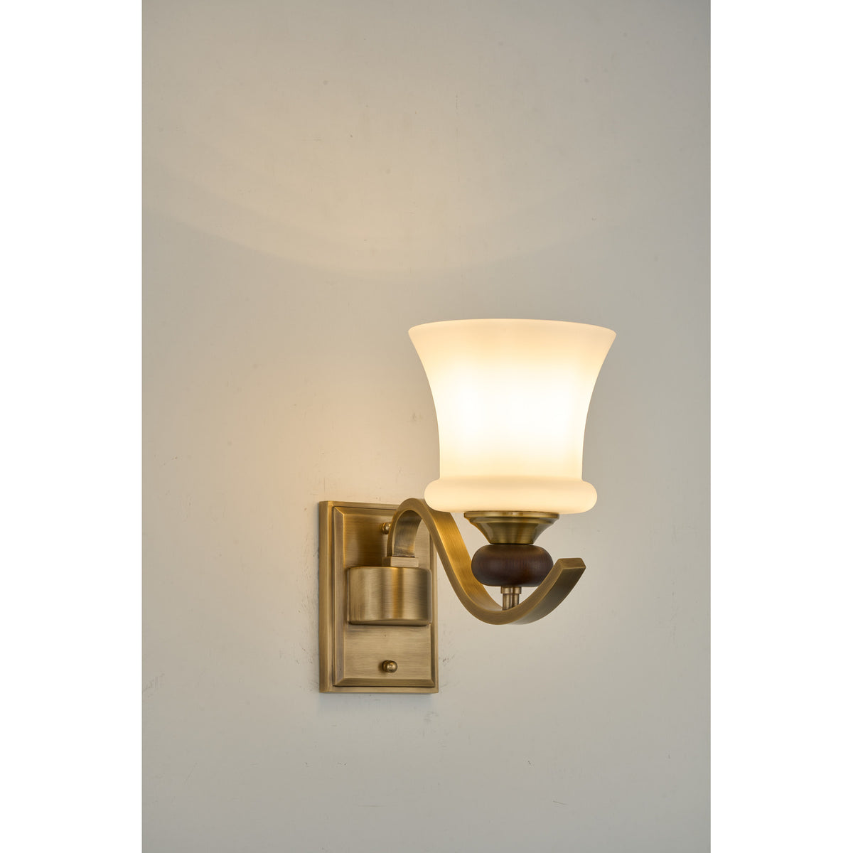 Supplier real detail photograph of the Brontelle one-light sconce side profile and wall plate
