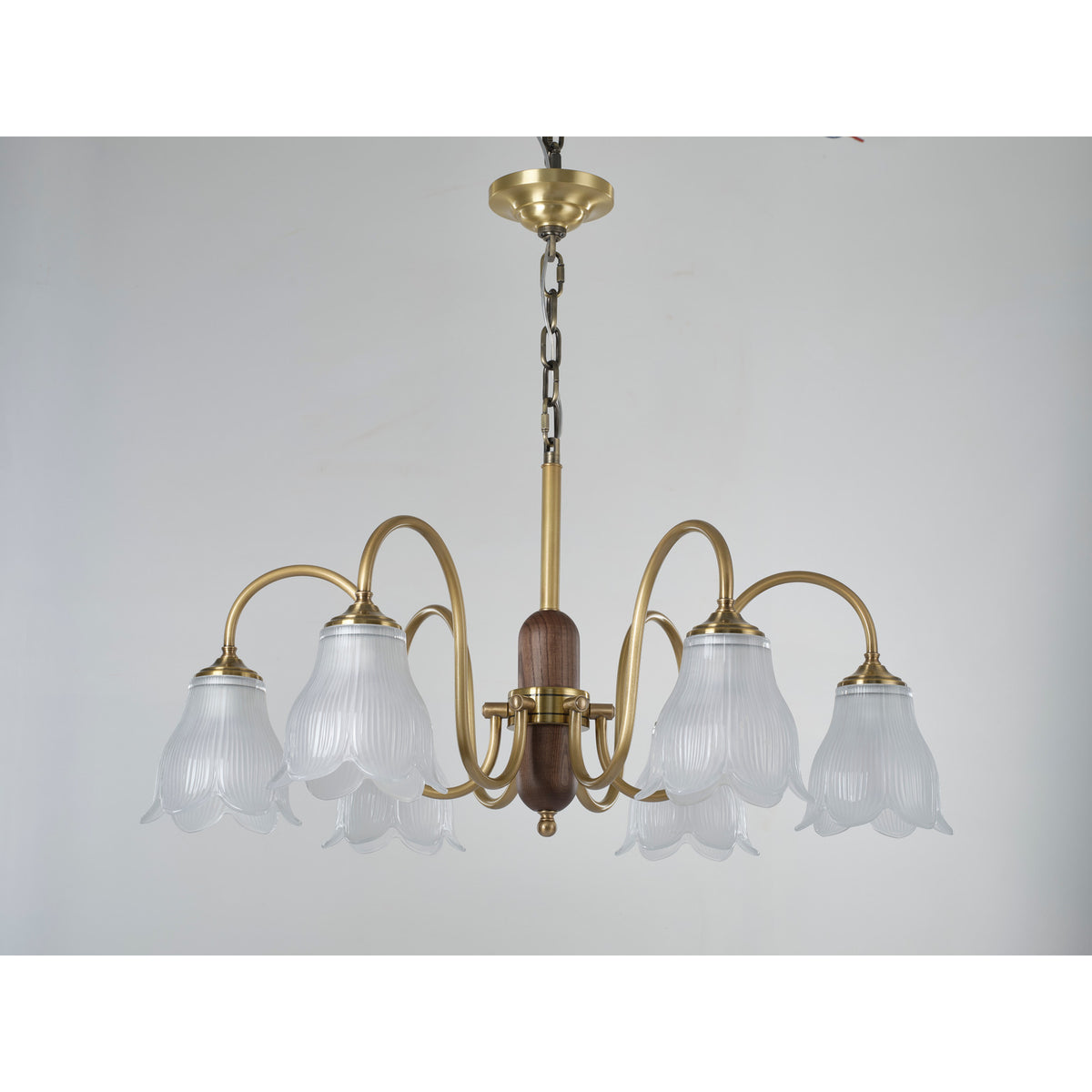 Supplier real front product photograph of the six-light chandelier unlit
