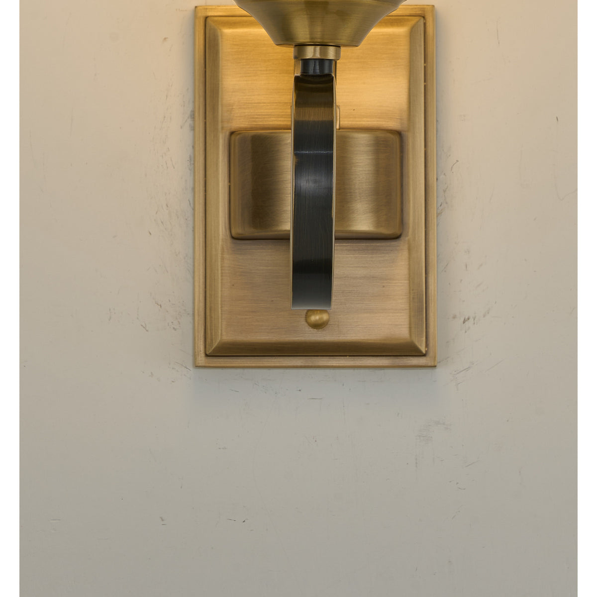 Supplier real detail photograph of the Rosethorne rectangular brass backplate and blackened vertical accent
