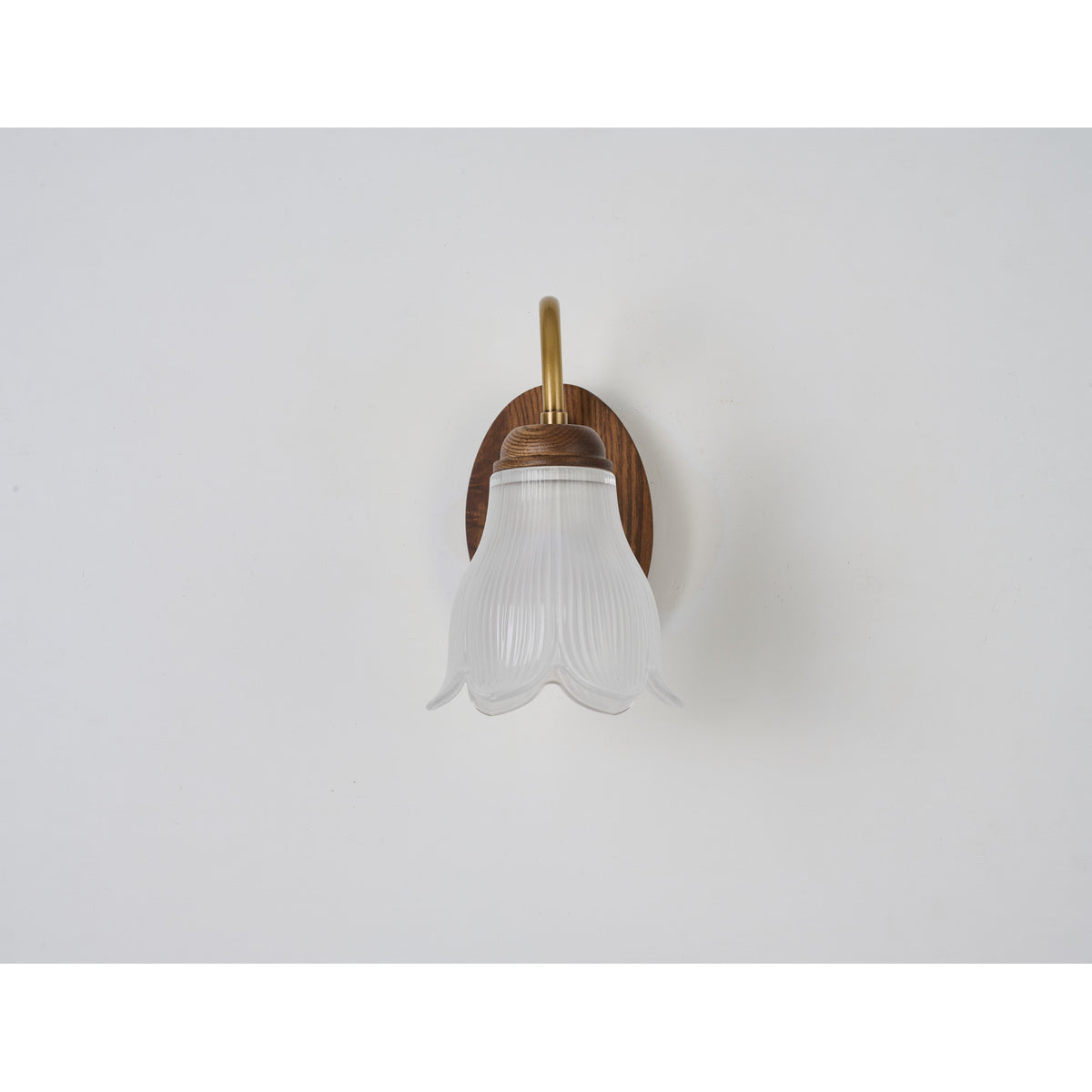 Supplier real front product photograph of the wall sconce illuminated