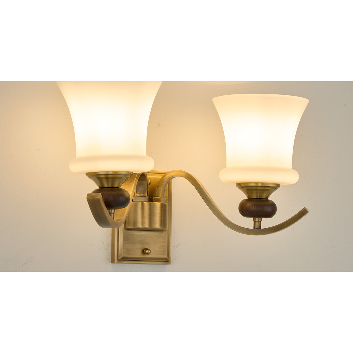Supplier real detail crop of the Brontelle two-light opal glass and antique brass arms