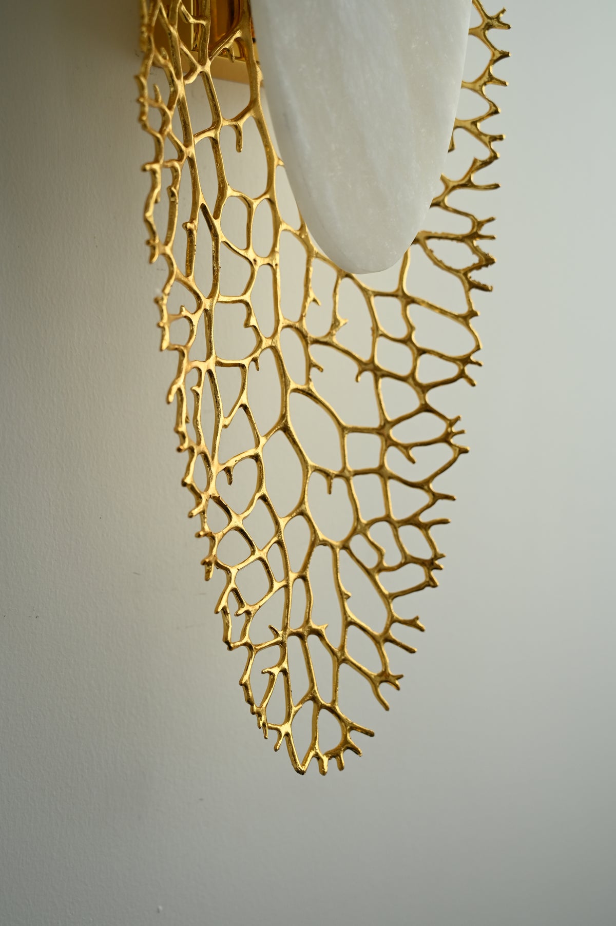 Modern Alabaster Coral Wall Sconce in Natural Brass - 09 09-real-detail-lower