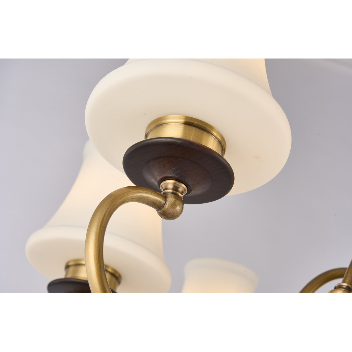 Supplier real detail photograph of the Glenhaven flared opal shade and antique-brass E26 socket