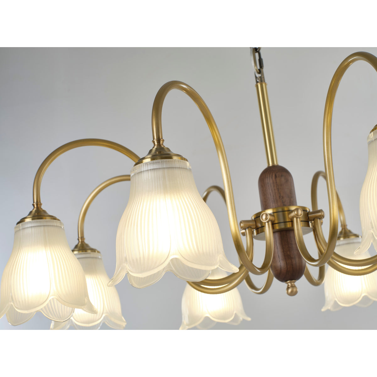Supplier real chandelier detail showing the looping antique brass-toned arms