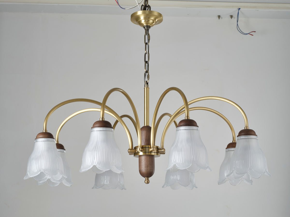Cloveraine Fluted Petal Glass Chandelier supplier real complete product photograph 5 for AL-GINX-5917-10
