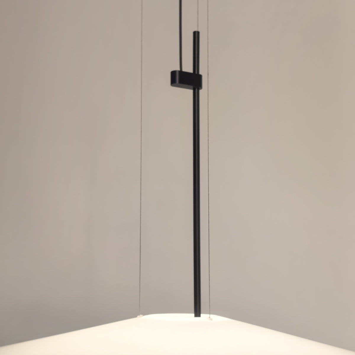 Close supplier photograph of the acrylic disc edge, suspension cables and central connection