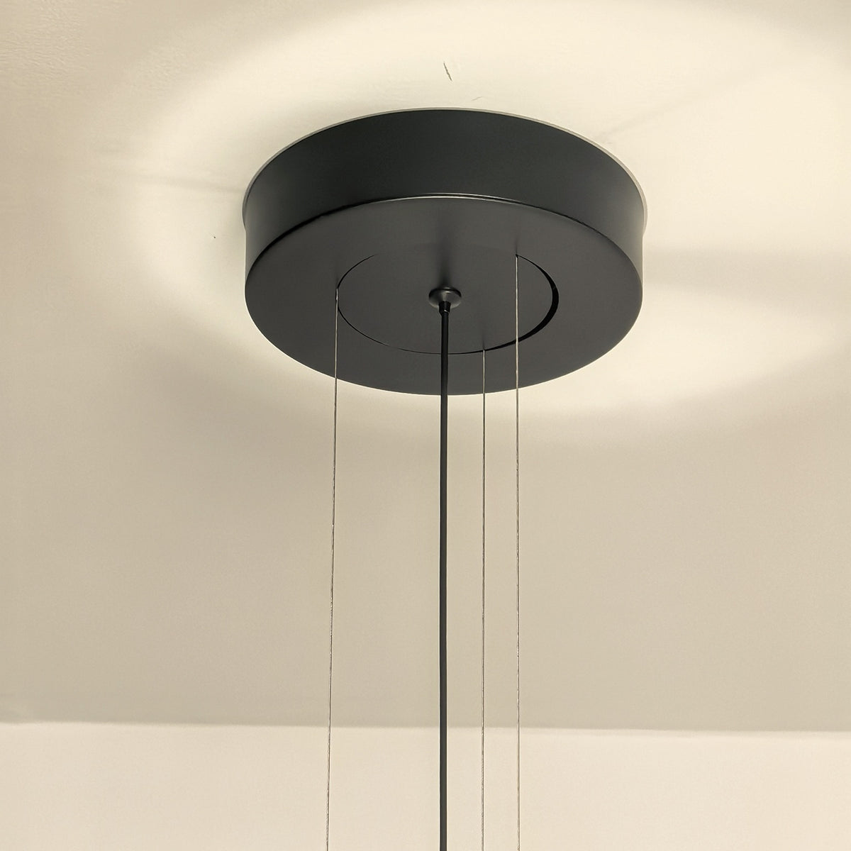Close supplier photograph of the round black ceiling canopy and suspension cables