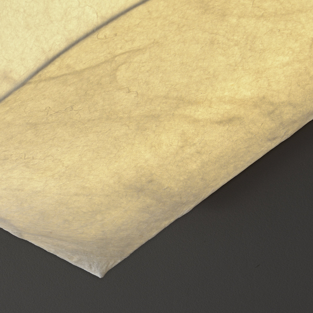 Cocivale Mulberry Silk Single-Curve Ceiling Light — product photograph