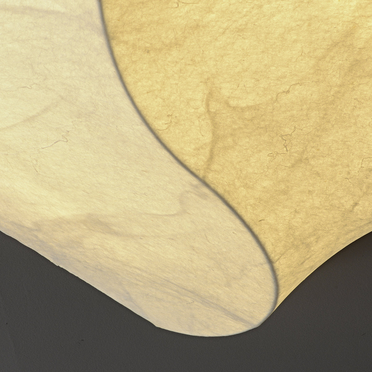 Cocivale Mulberry Silk Double-Curve Ceiling Light — product photograph