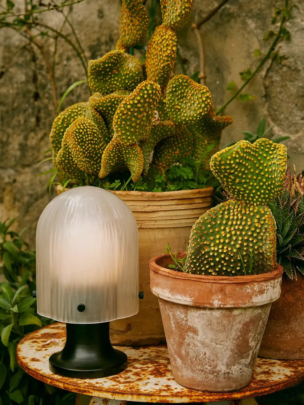 Mernoval streaked glass table lamp with a black base beside potted cacti on a round metal table.
