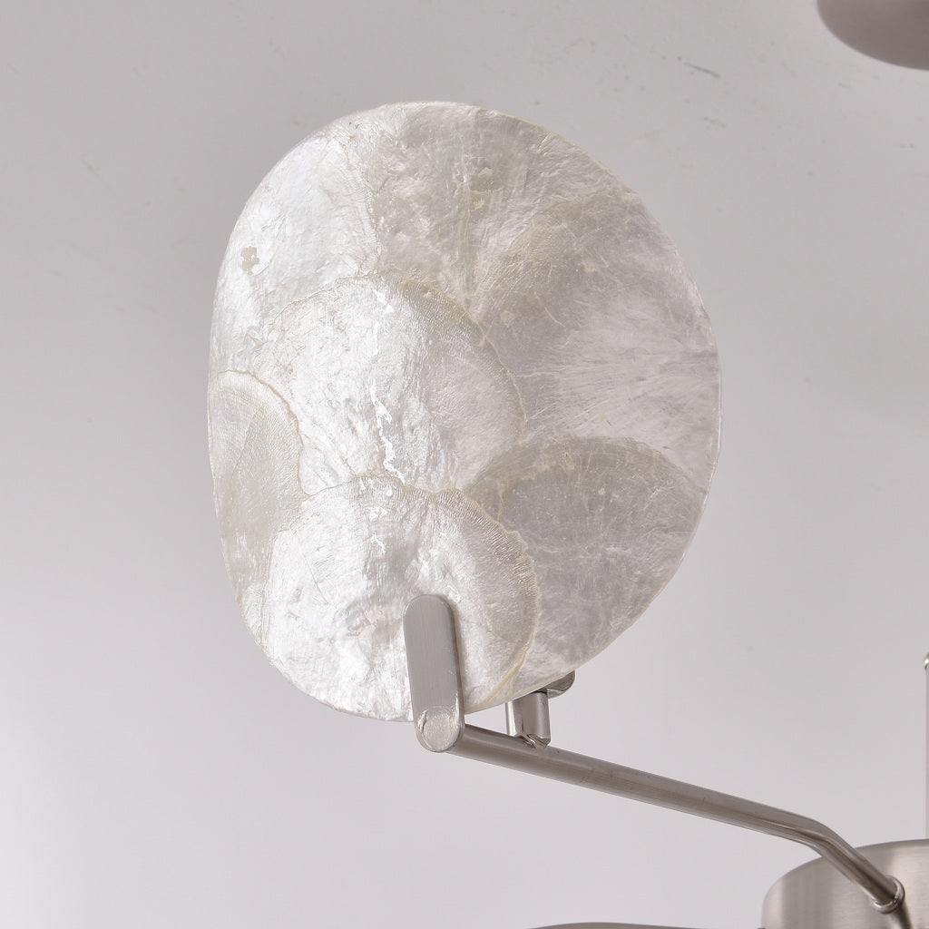 Velnacre - real shell detail