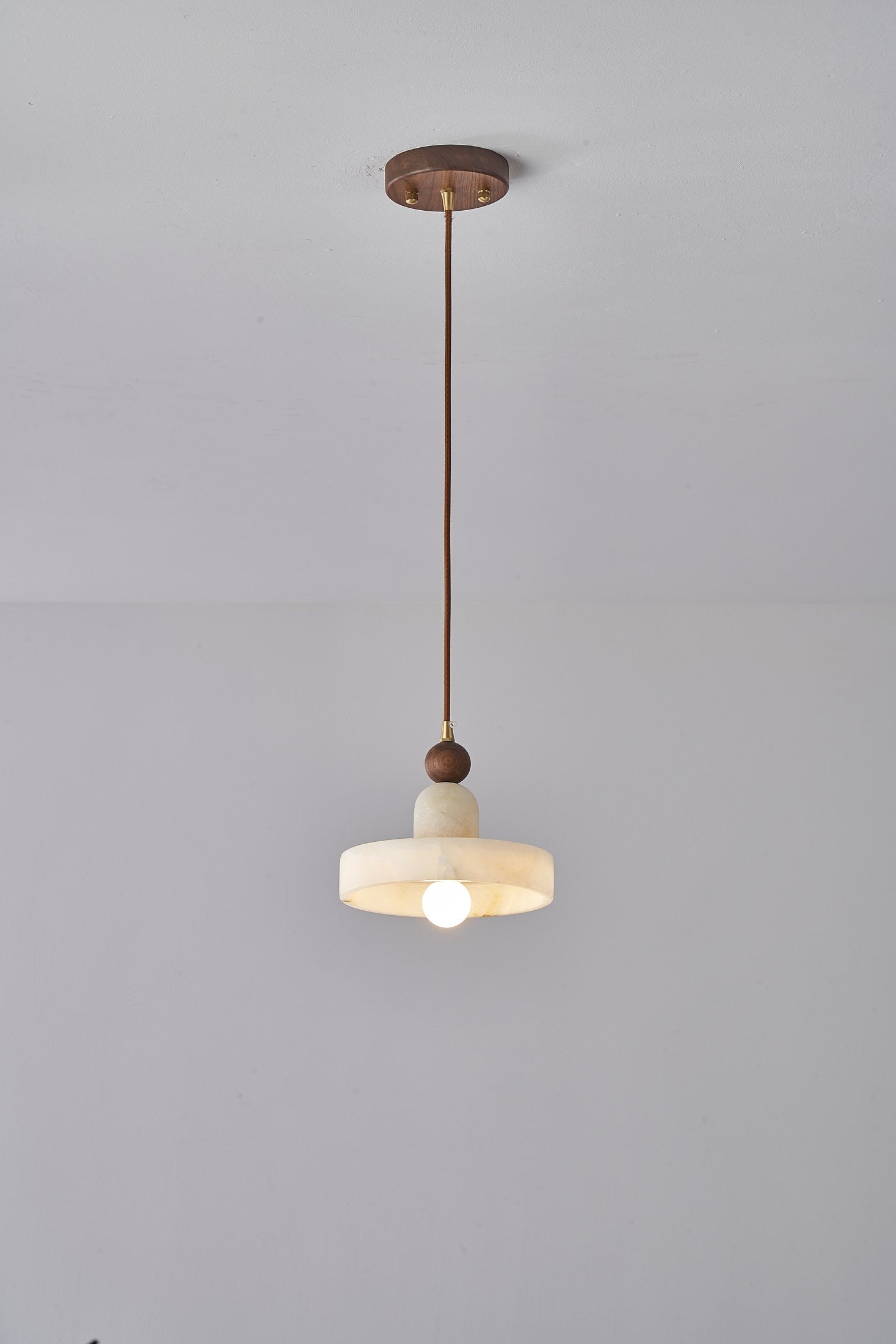 Spanish Marble and Walnut Disc Pendant Light - 12 DSC09648