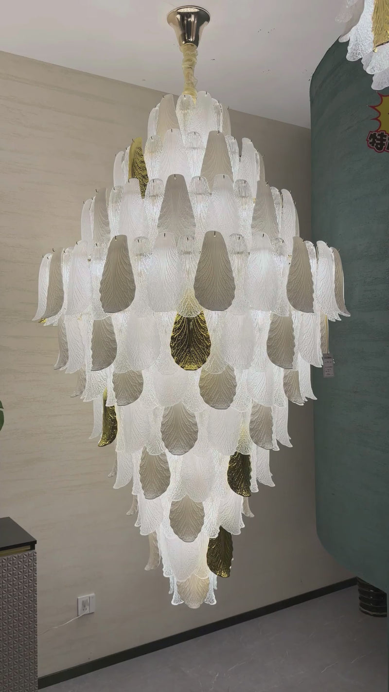 Velipetal collection film — showroom views of the collection