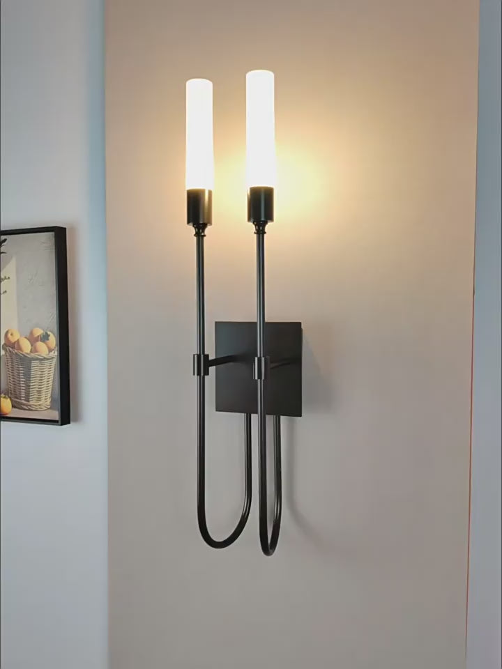 Double Loop Wall Sconce product video