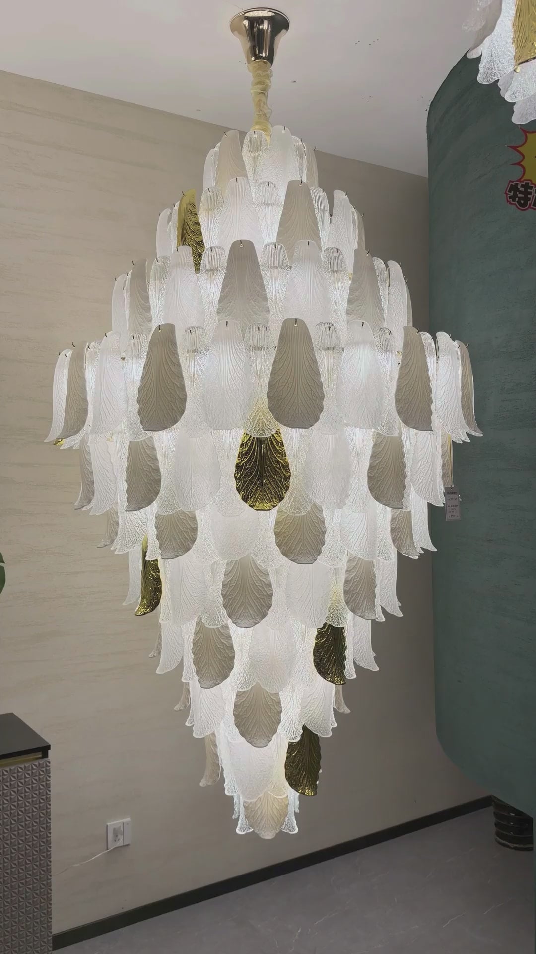 Load video: Velipetal collection film — showroom views of the collection